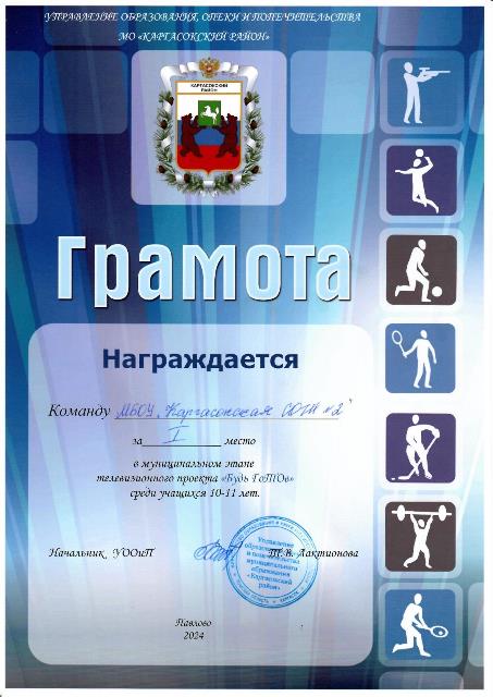 ШСК достижения 2024-2025 учебный год.